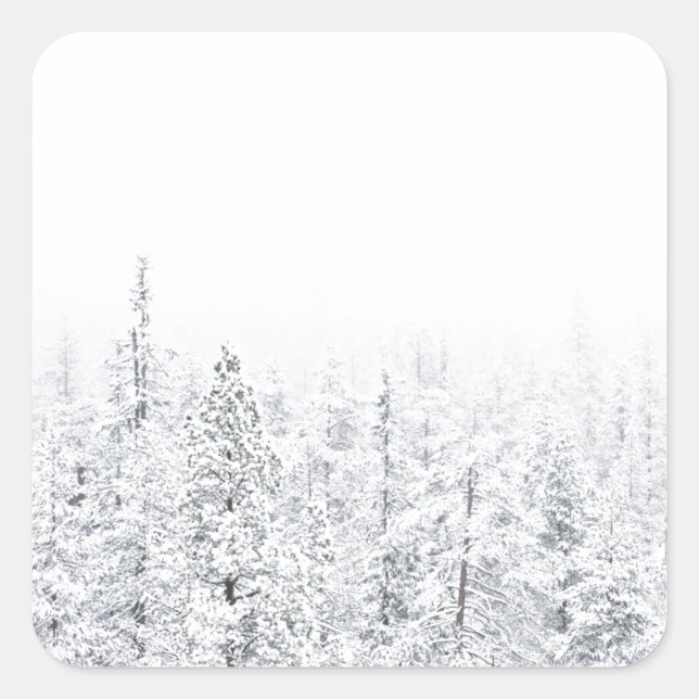 Sticker Carré Forêt neigeuse (Devant)