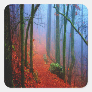 Sticker Carré Forêt peinte Automne Brouillard bleu