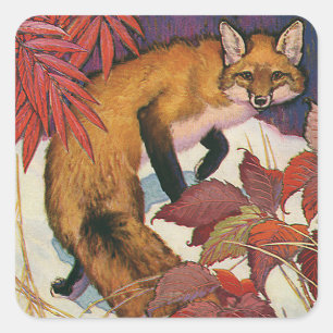 Sticker Carré Forêt vintage Créatures Red Fox Wild Animal