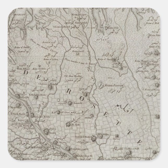 Sticker Carré Foueh, Damanhour, Egypte (Devant)