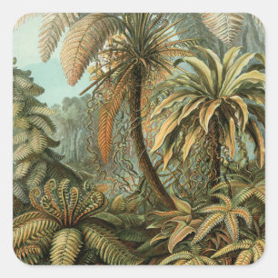 Sticker Carré Fougères Palmier Antique Botanique Fougères Art