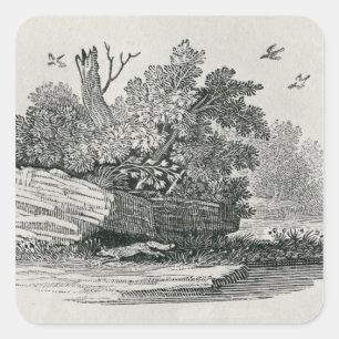 Sticker Carré Fox escapade,"L'histoire générale de