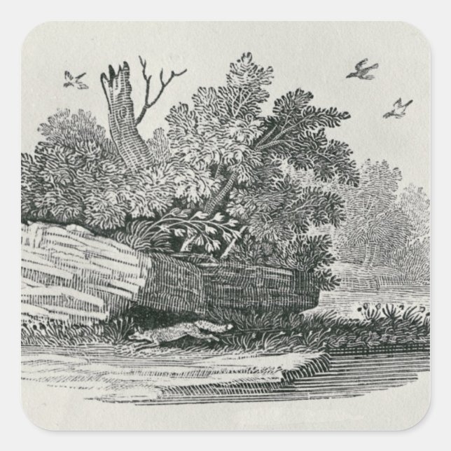 Sticker Carré Fox escapade,"L'histoire générale de (Devant)