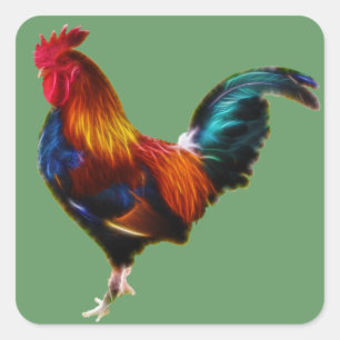 Sticker Carré Fractalius Leghorn Rooster