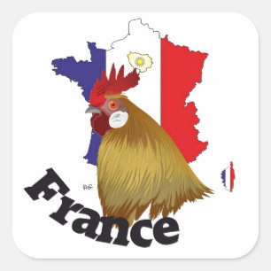 Sticker Carré France Francia