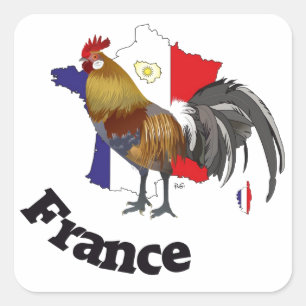 Sticker Carré France Francia