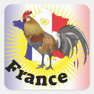 Sticker Carré France Francia