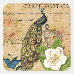 Sticker Carré franical camellia birdcage vintage peacock