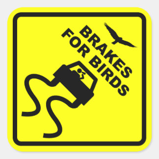 Sticker Carré Freins pour oiseaux
