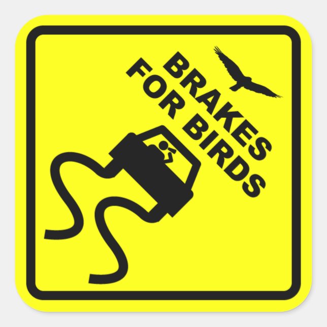Sticker Carré Freins pour oiseaux (Devant)