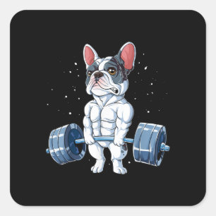 Sticker Carré French Bulldog Poids Funny Deadlift Gym