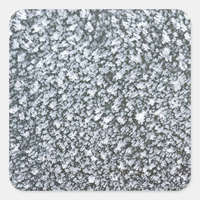 Sticker Carré frost closeuser on (Devant)