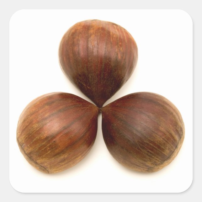 Sticker Carré Fruits de châtaignes sucrés (Devant)