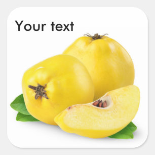Sticker Carré Fruits de coing
