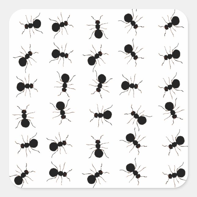 Sticker Carré Fun Black Ant Bug (Devant)