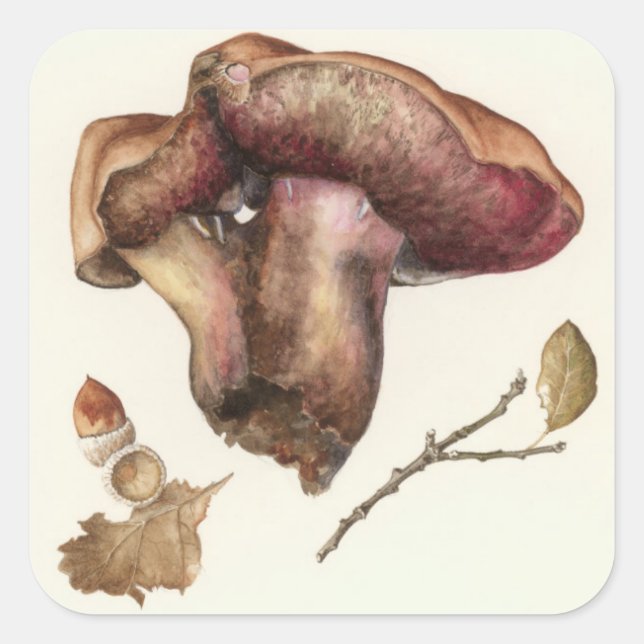 Sticker Carré Fungus (Devant)