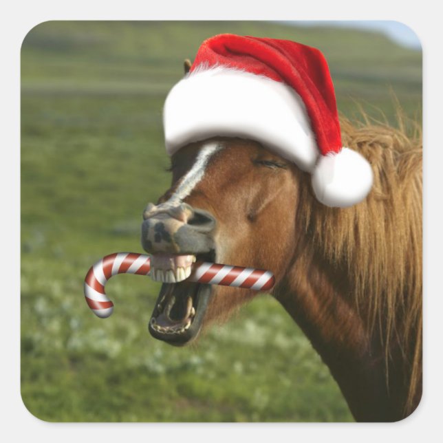 Sticker Carré Funny Christmas horse with Santa a smiling (Devant)