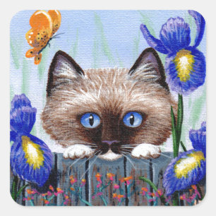 Sticker Carré Funny Siamese Ragdoll Chat Birman Irises