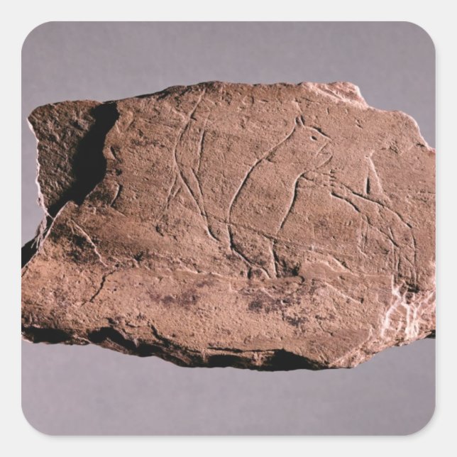 Sticker Carré Galets représentant un homme attaqué par un bea (Devant)