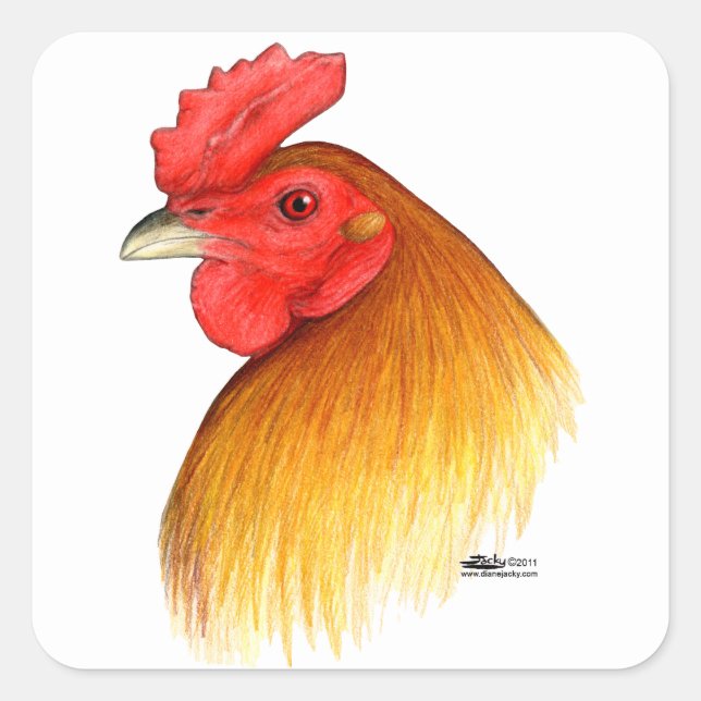 Sticker Carré Gamecock (Devant)