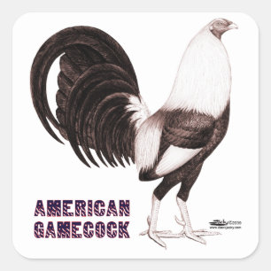 Sticker Carré Gamecock Sepia