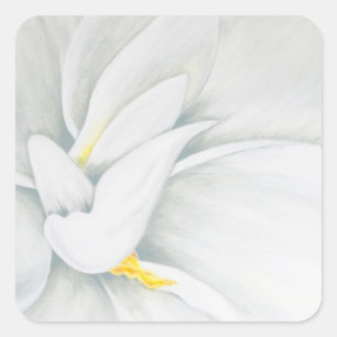 Sticker Carré Gardenia