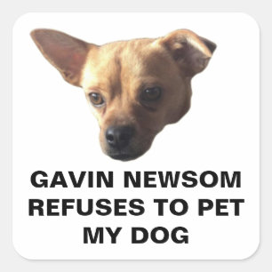 Sticker Carré Gavin Newsom Refuse De Faire Paître Mon Chien