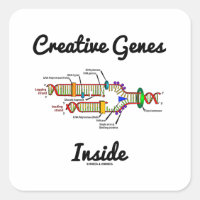 Gènes créatifs à l'intérieur (réplication de l'ADN