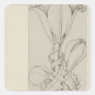 Sticker Carré Génie du lis, 1809