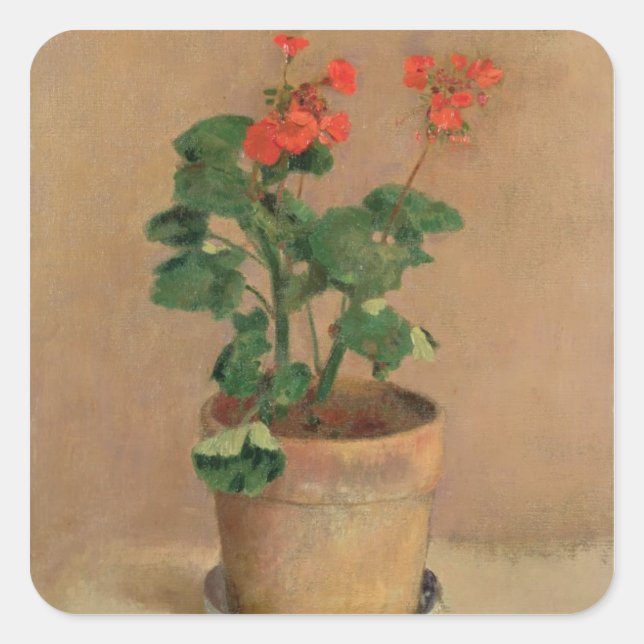Sticker Carré Geraniums dans un pot, c.1905 (huile sur toile) (Devant)