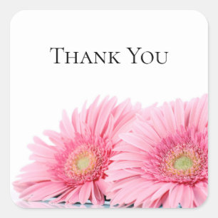 Sticker Carré Gerbera Rose Daisies Élégant Merci photo