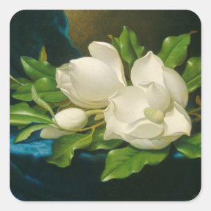 Sticker Carré Giant Magnolias on a Blue Velvet Cloth, c.1890 (oi
