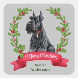 Sticker Carré Giant Schnauzer Chien Holly Bannière Noël