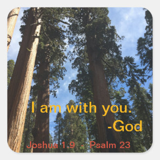 Sticker Carré Giant Sequoia