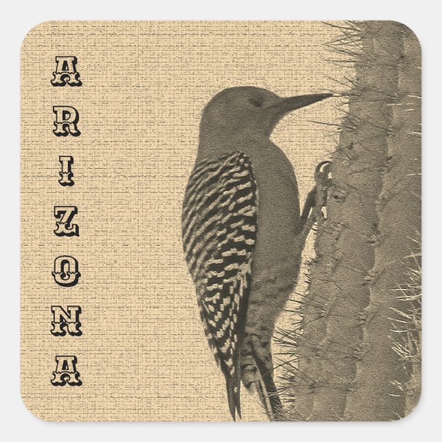 Sticker Carré Gila Woodpecker S'Accorde Au Saguaro Cactus Arizon (Devant)