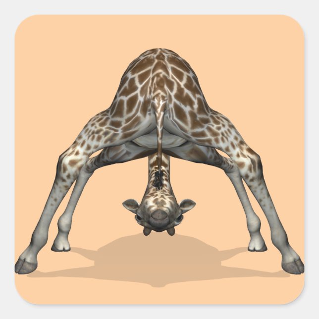 Sticker Carré Girafe flexible (Devant)