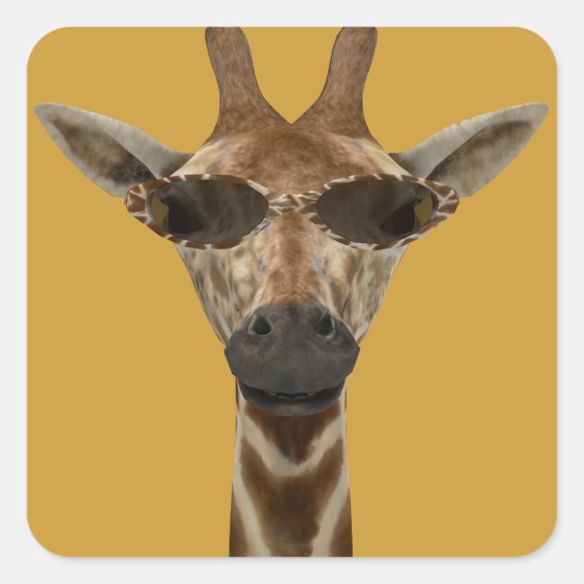 Sticker Carré Girafe Incognito (Devant)