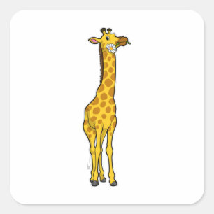 Sticker Carré Girafe with Daisy