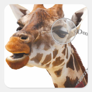 Sticker Carré Giraffe drôle avec Bowtie et Monocle