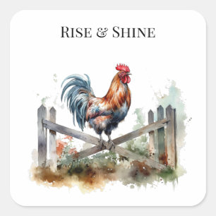 Sticker Carré Gloire du matin : Coq de l'Eatercolor, personnalis