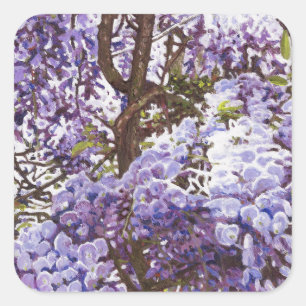 Sticker Carré Glycines bleues 2011