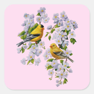Sticker Carré Gold Finch Oiseaux & Pommier rose