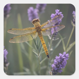 Sticker Carré Golden Dragonfly