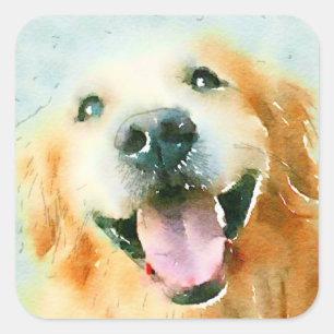 Sticker Carré Golden retriever de sourire dans l'aquarelle