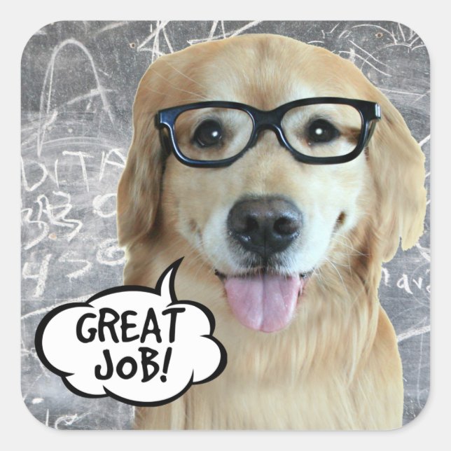 Sticker Carré Golden Retriever Dog Super job enseignant récompen (Devant)