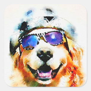 Sticker Carré Golden Retriever en Casquette et lunettes de solei
