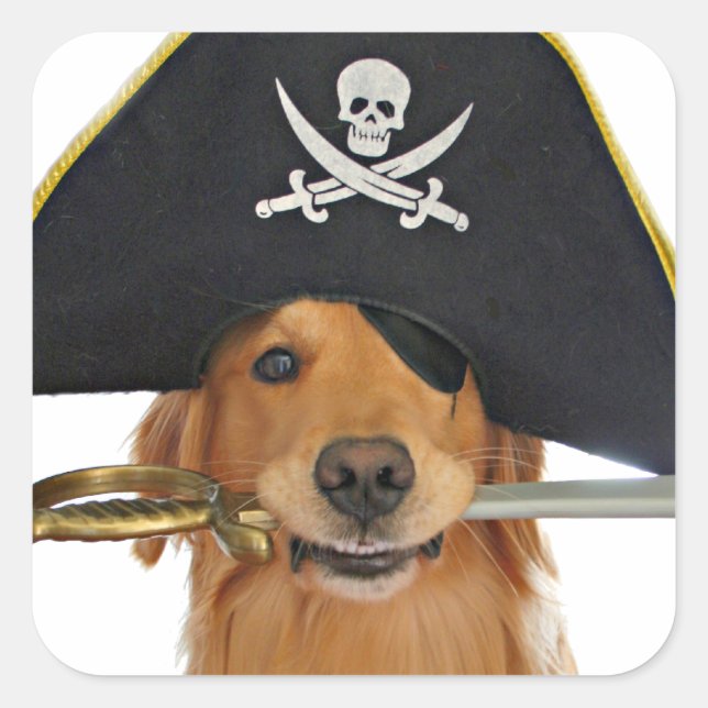 Sticker Carré Golden Retriever Halloween Pirate (Devant)