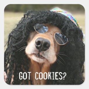 Sticker Carré Golden Retriever Hippie a des cookies