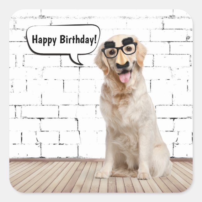 Sticker Carré Golden Retriever Humour d'anniversaire (Devant)