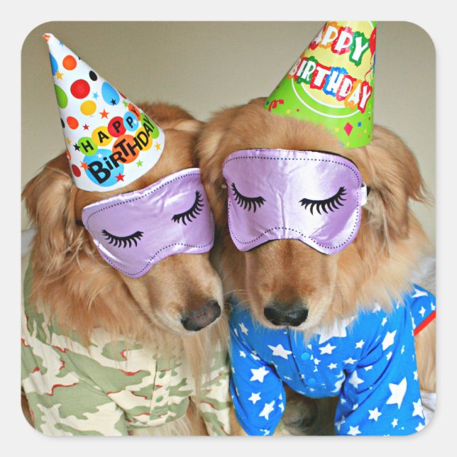 Sticker Carré Golden Retriever in Pajamas Anniversaire (Devant)